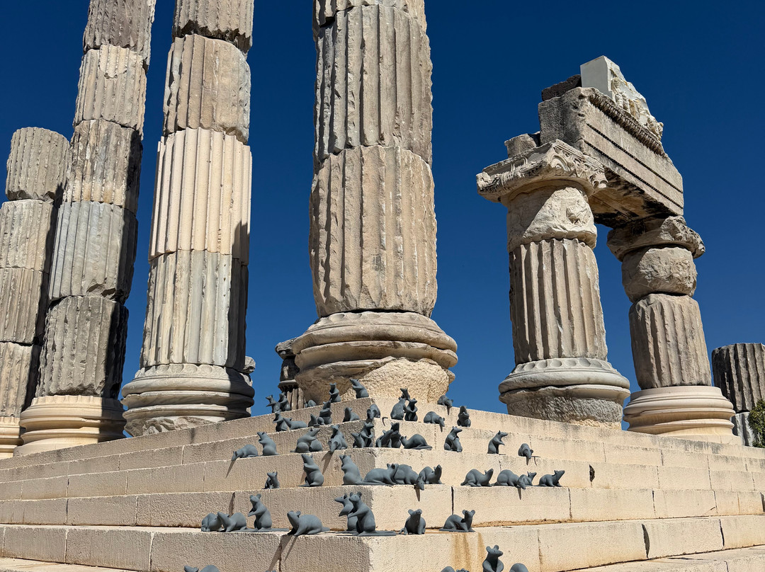 Apollon Symintheion Ruins-Ayvacik必去景点