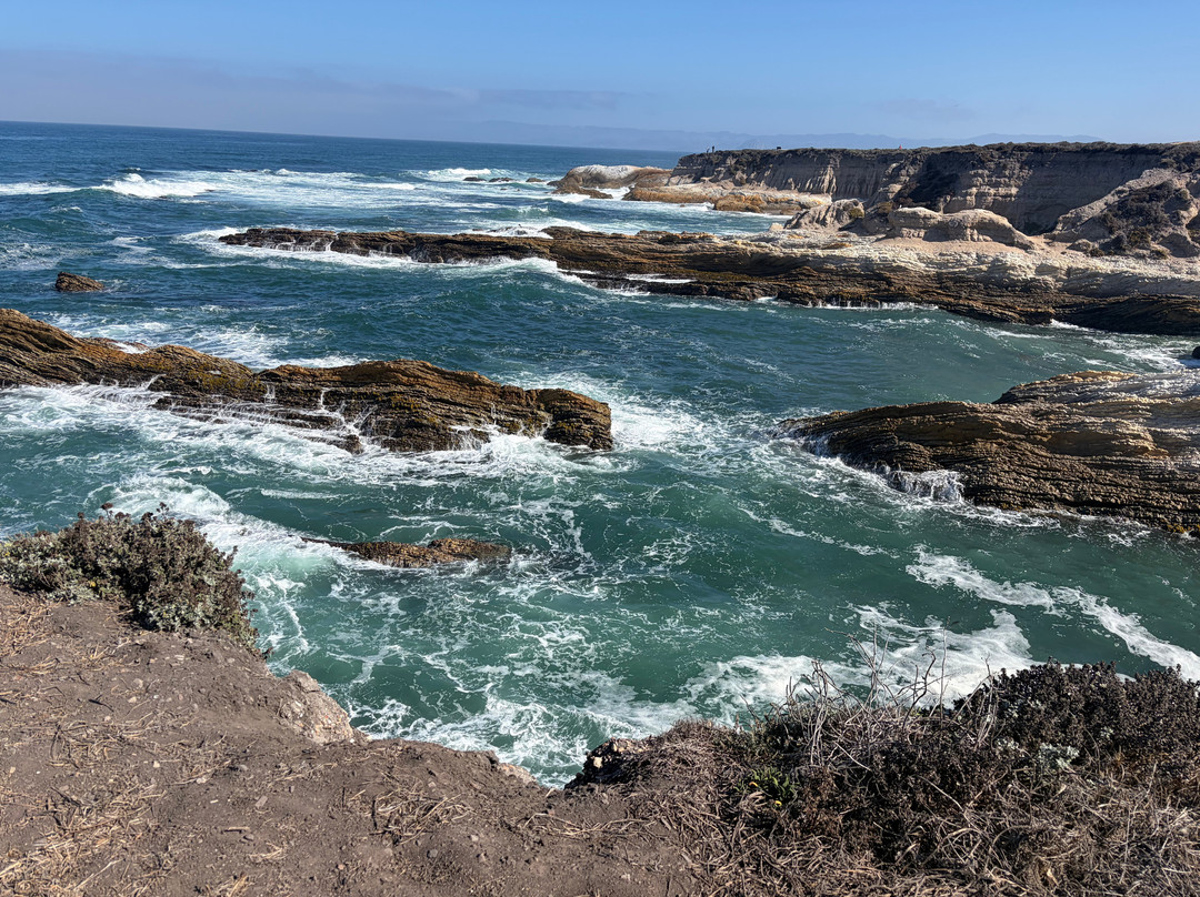 Montana de Oro State Park-Los Osos必去景点