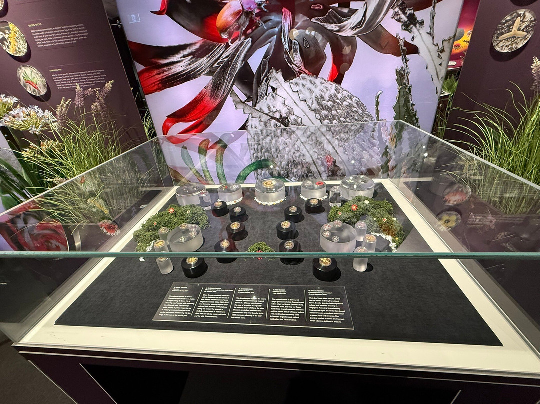Royal Australian Mint-Deakin必去景点