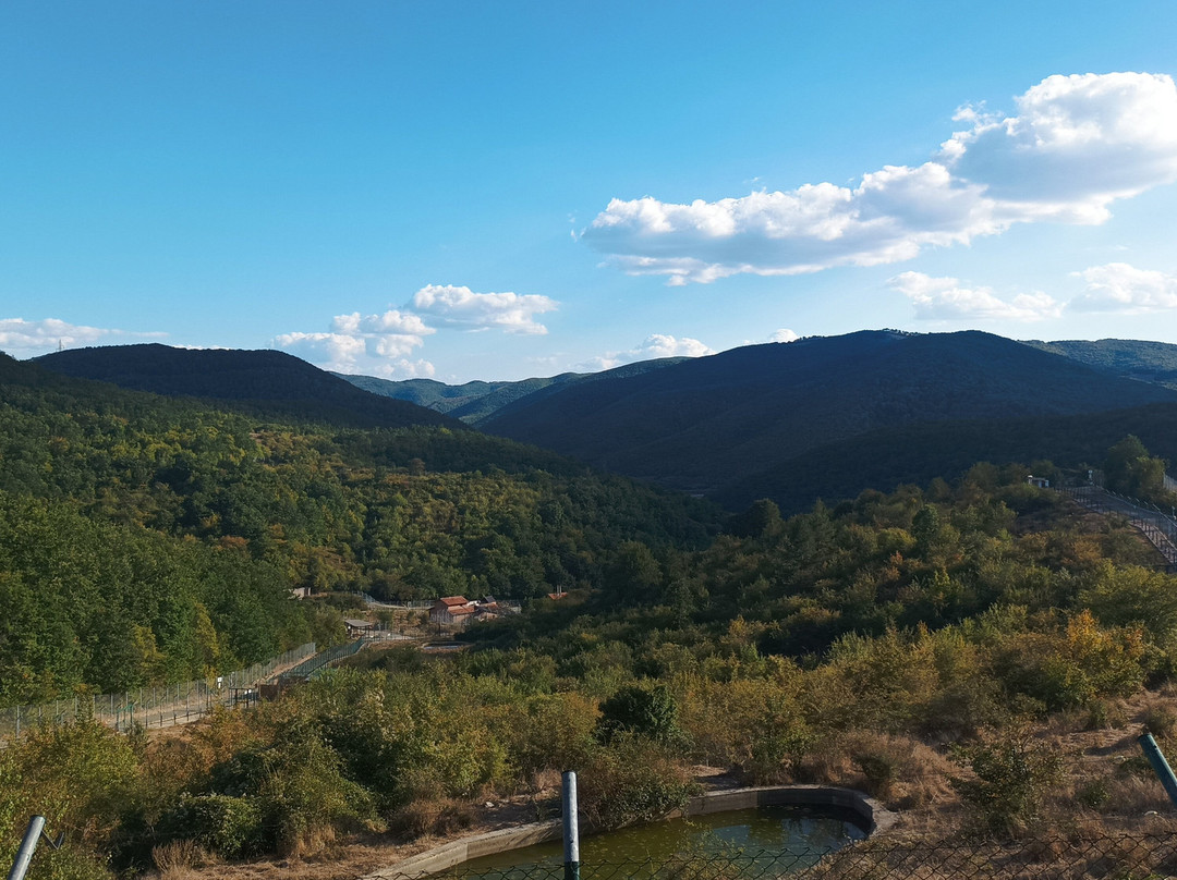 BEAR SANCTUARY Prishtina-普里什蒂纳必去景点