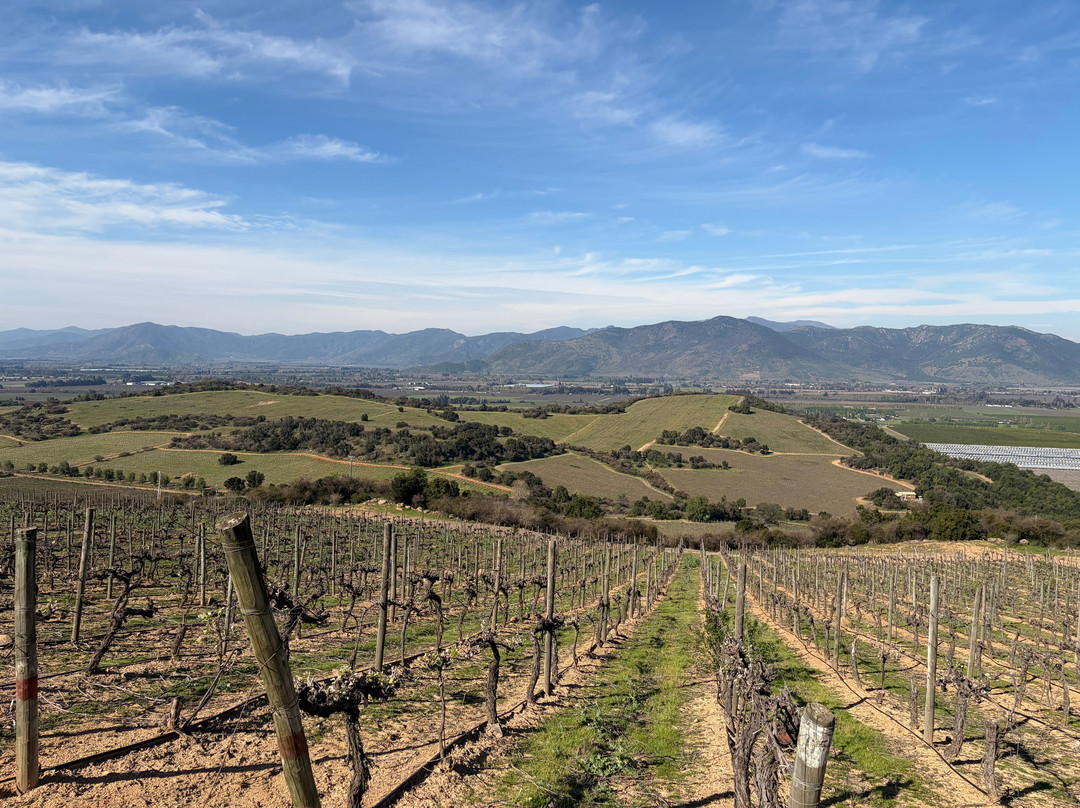 Natural Wine Tours-Palmilla必去景点