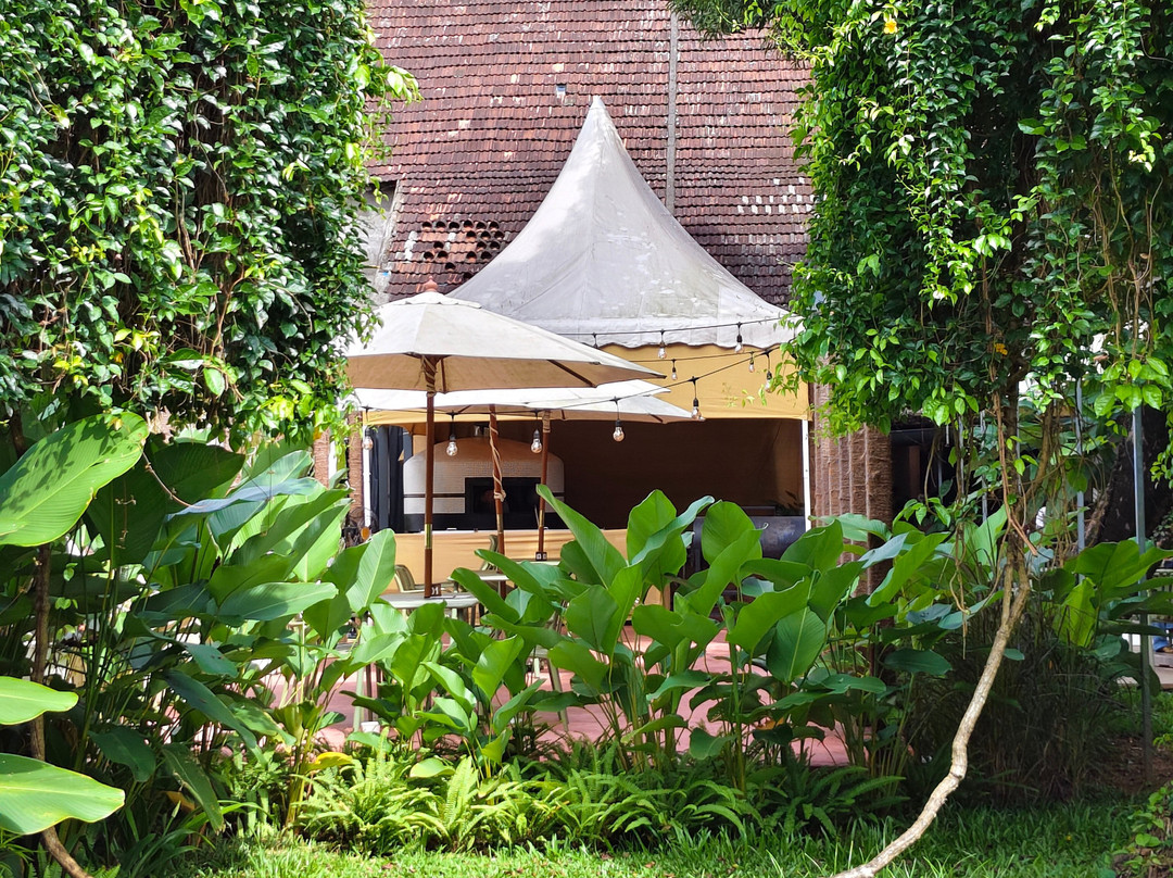 David Hall Gallery & Cafe-柯钦必去景点