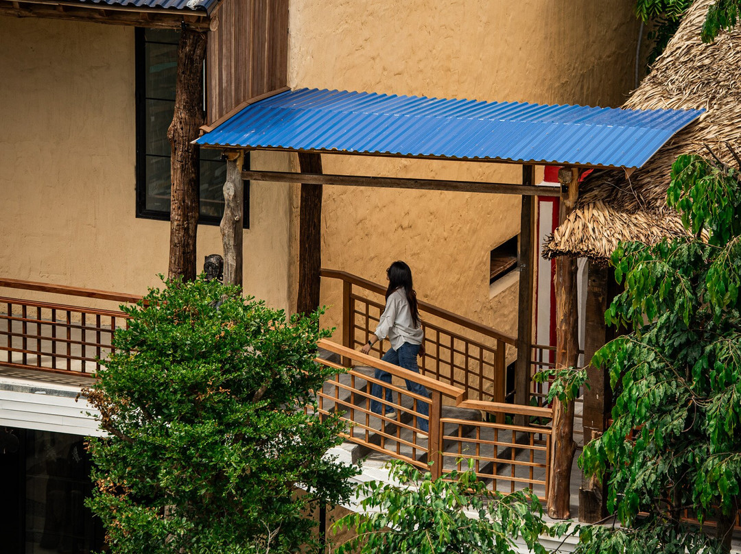 Lang Cui Lu - Driftwood Village-Cam Ha必去景点