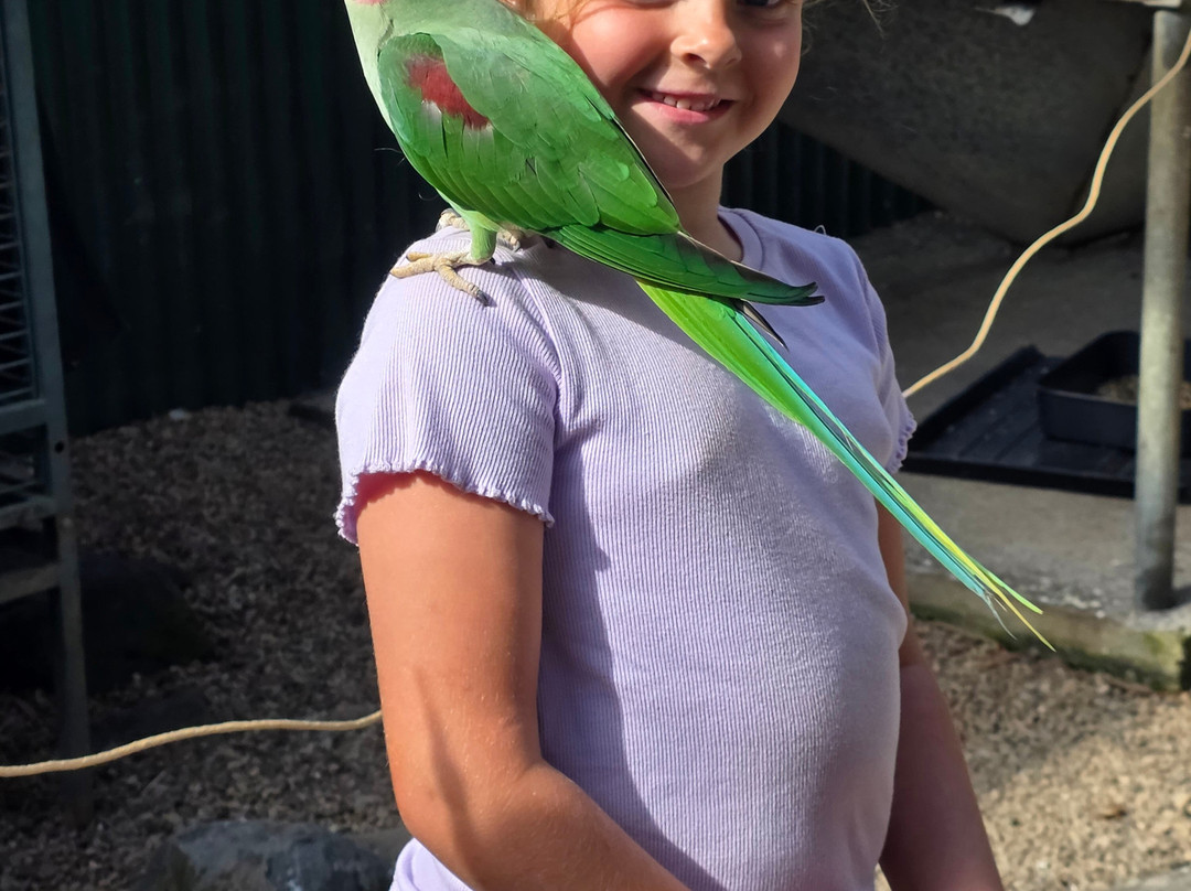 Maleny Botanic Gardens & Bird World-马莱尼必去景点