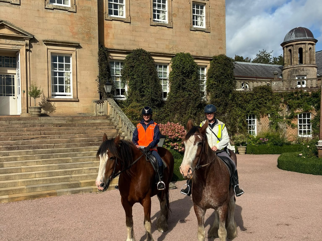 Blackstone Clydesdales Experience-Cumnock必去景点