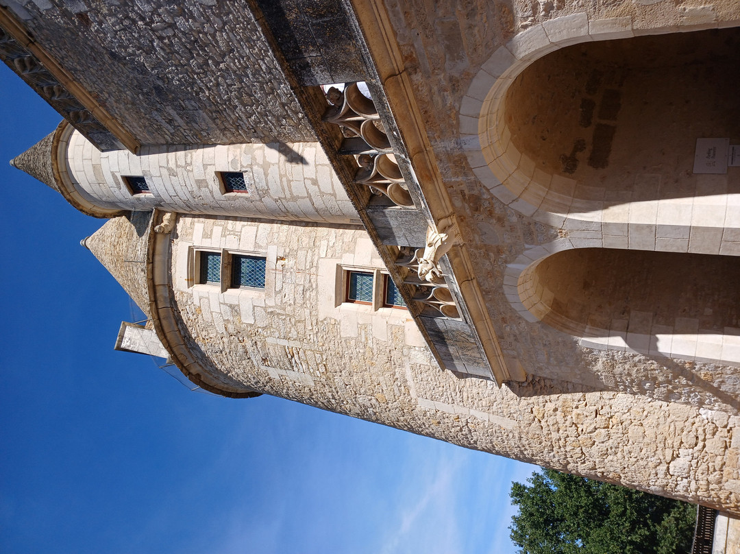 Château des Milandes-Castelnaud-la-Chapelle必去景点