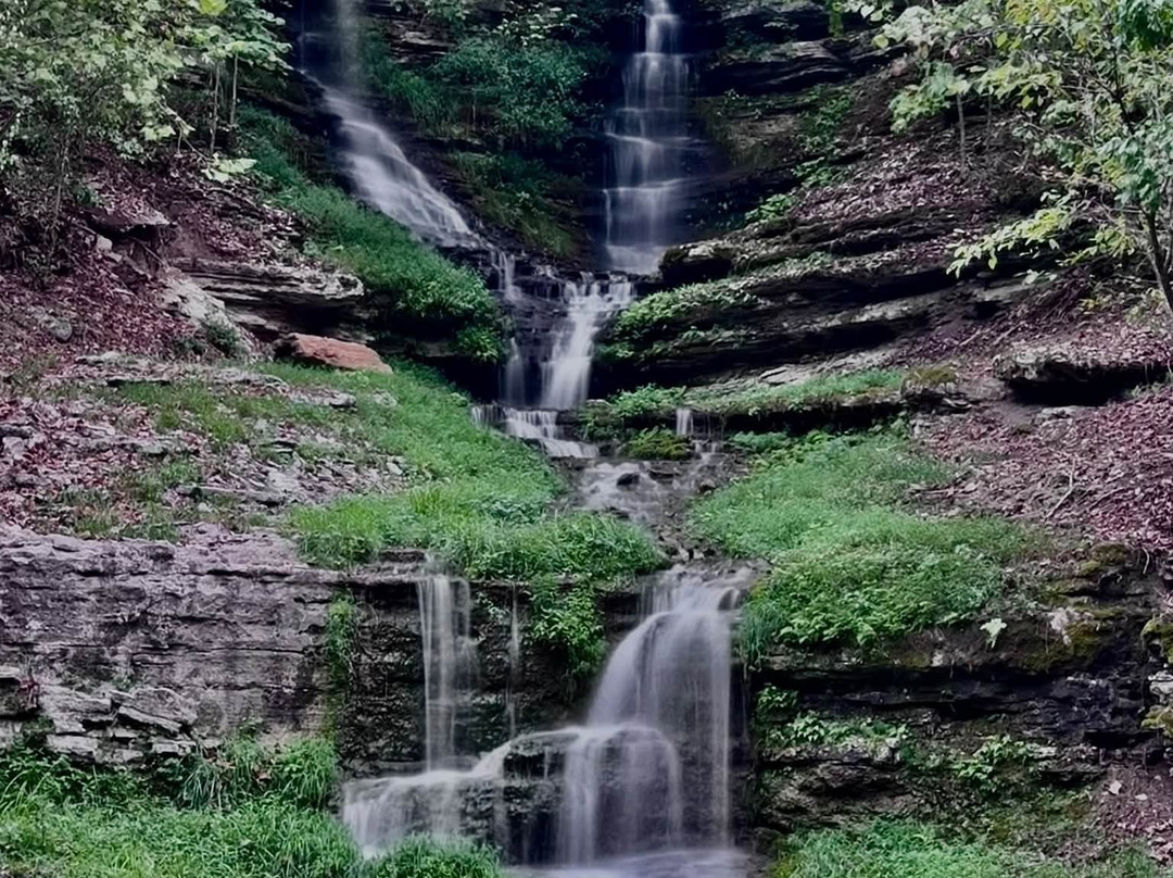 Dogwood Canyon Nature Park-Lampe必去景点