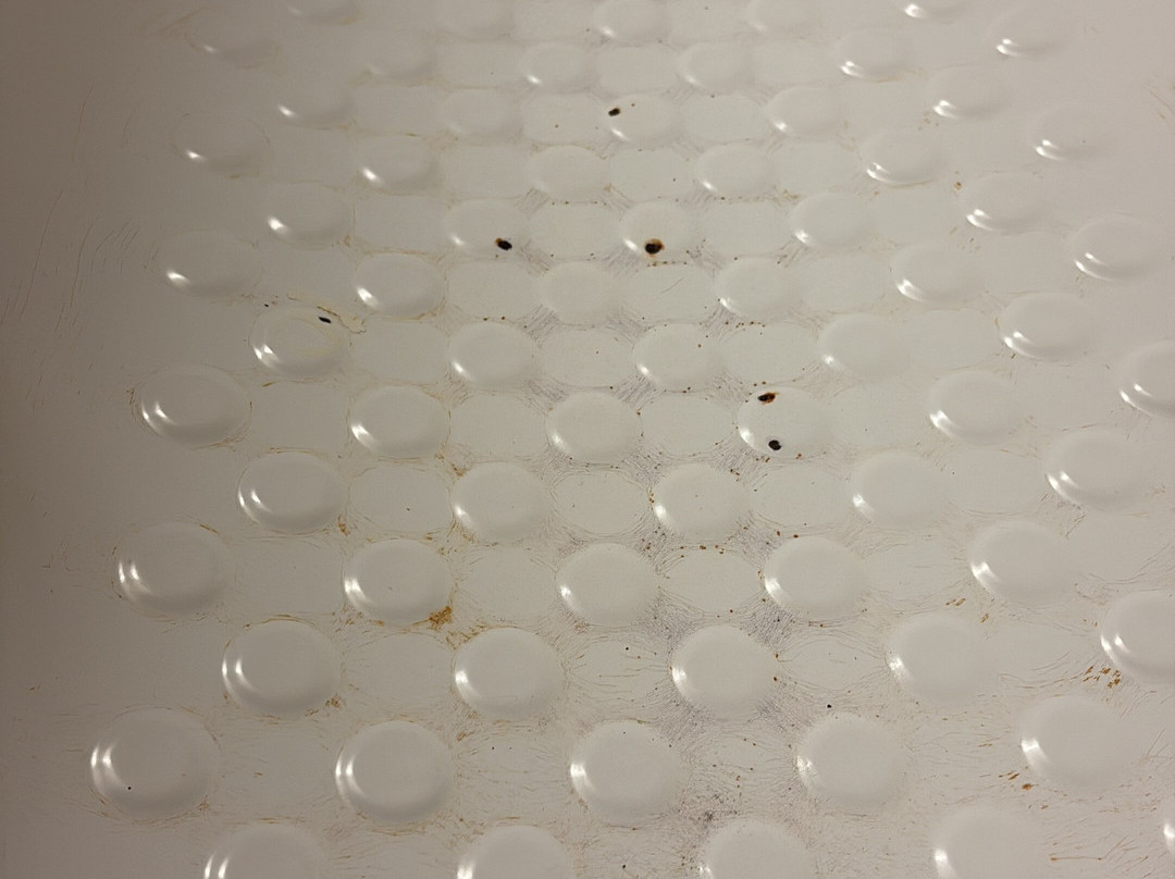 梅德斯通温德姆戴斯酒店主图