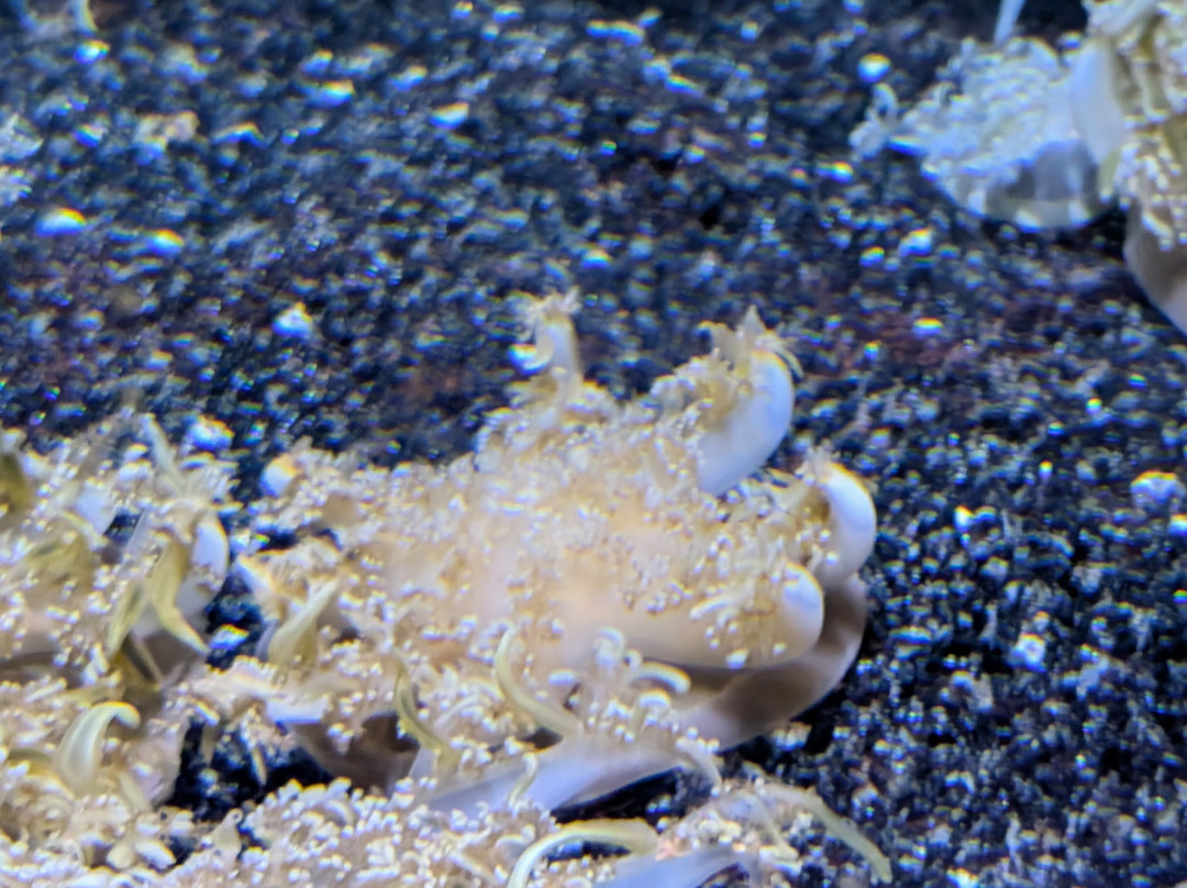 Sea Life Scarborough-斯卡伯勒必去景点