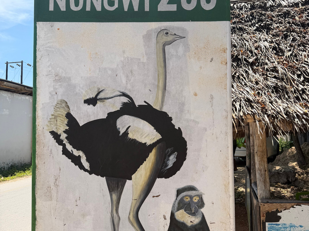 Zanzibar Kilosas Conservation-孥归必去景点