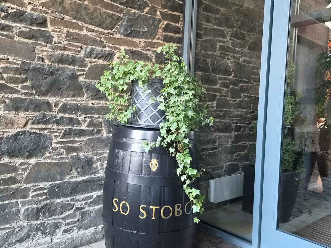 Stobo Castle Health Spa主图