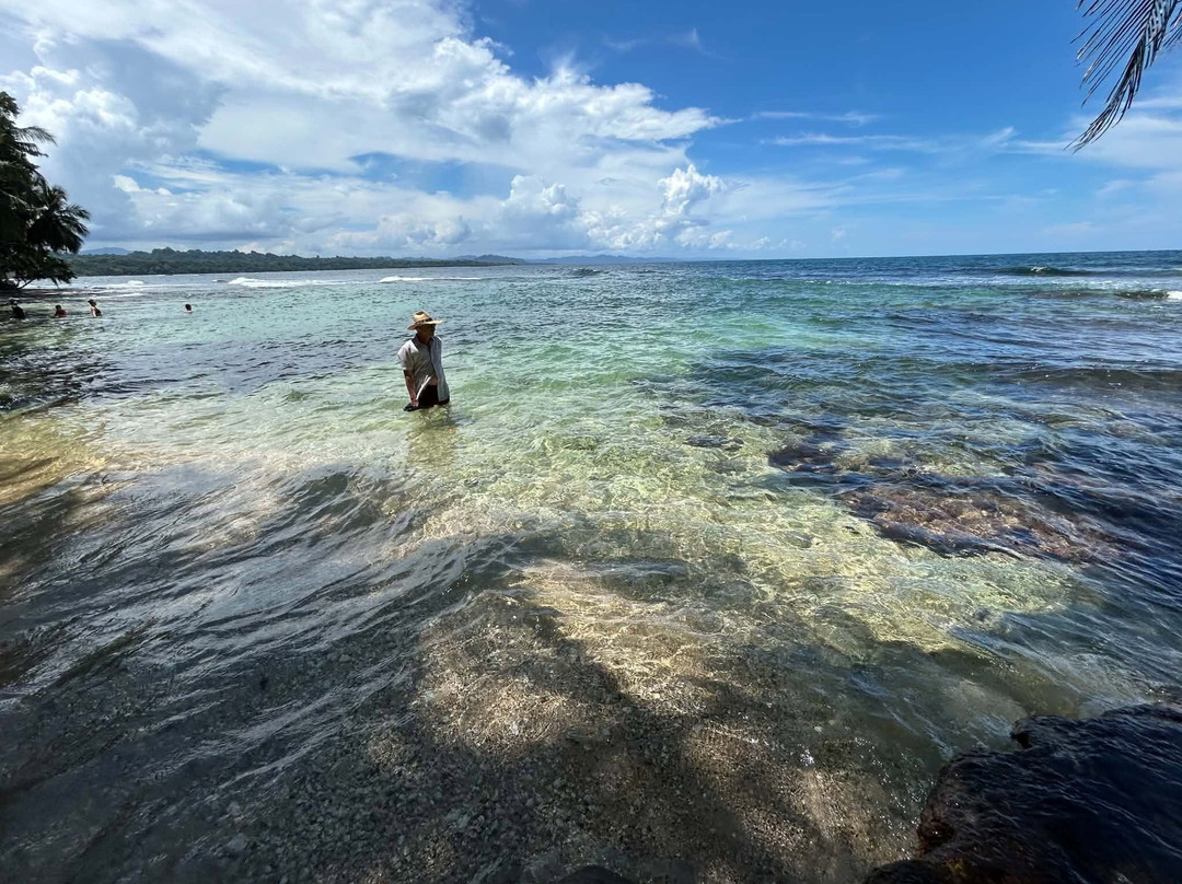Playa Puerto Viejo-旧港必去景点