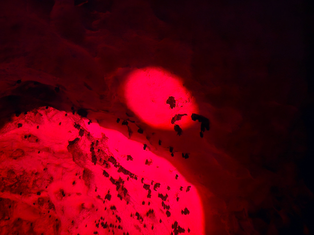 Cueva Ventana-阿雷西沃必去景点