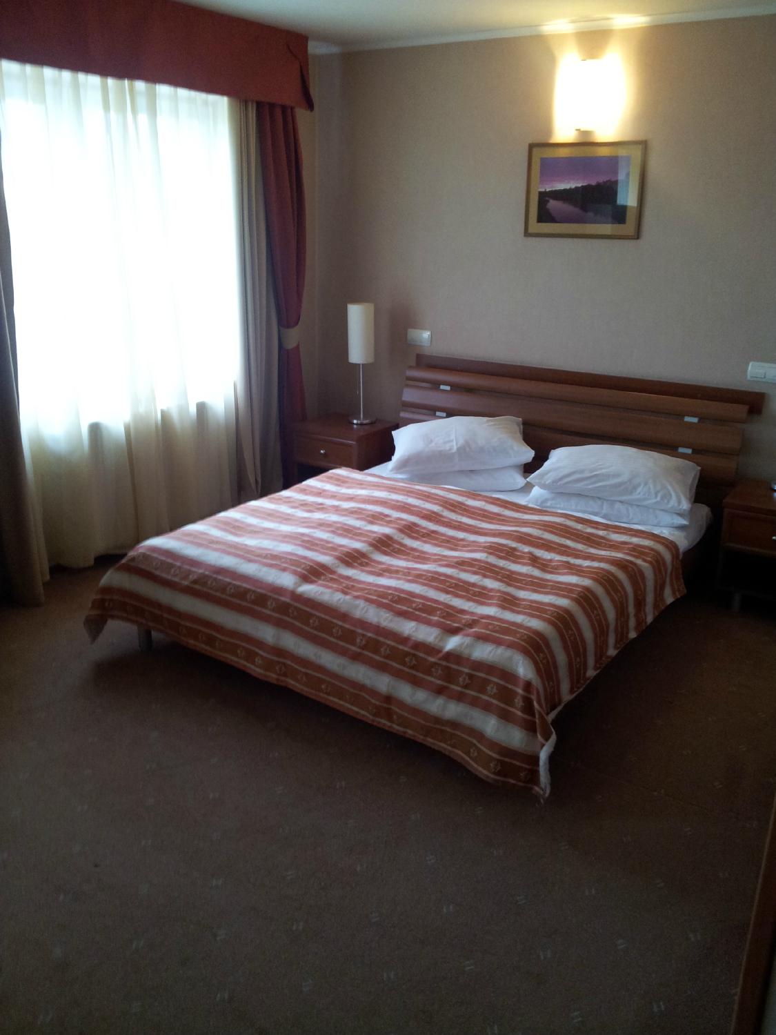 Hotel Uzhgorod-客卧