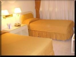 Hotel Princesa Plaza