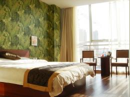 天津夏日荷花酒店复兴门店-客卧