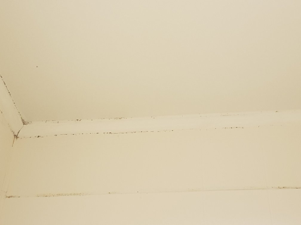 Anglesea Motel & Conference Centre