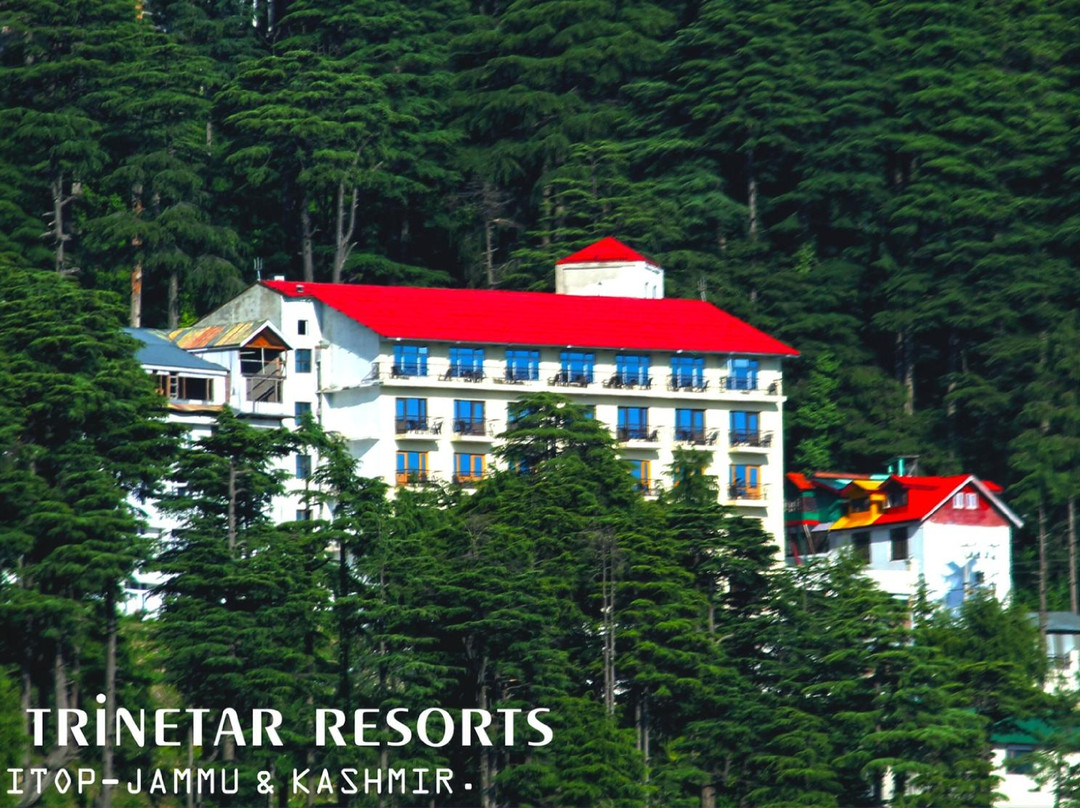 Patnitop酒店住宿-Hotel Trinetra Resorts