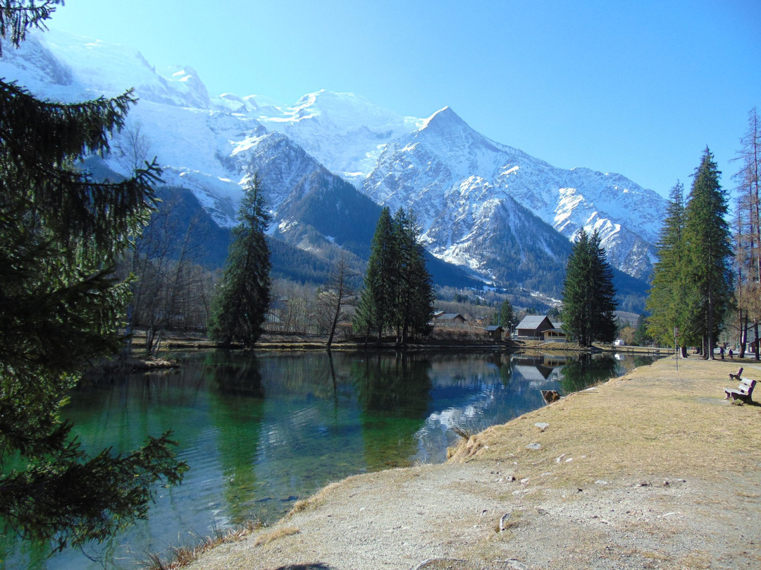 Les Bossons酒店住宿-Lacs Hotel