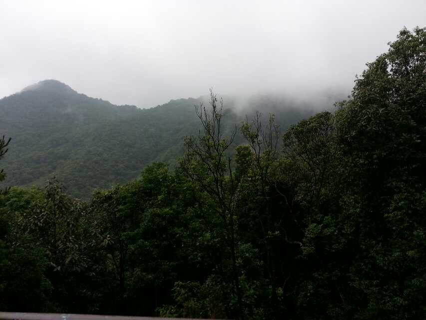 南昆山国家森林公园-龙门县必去景点
