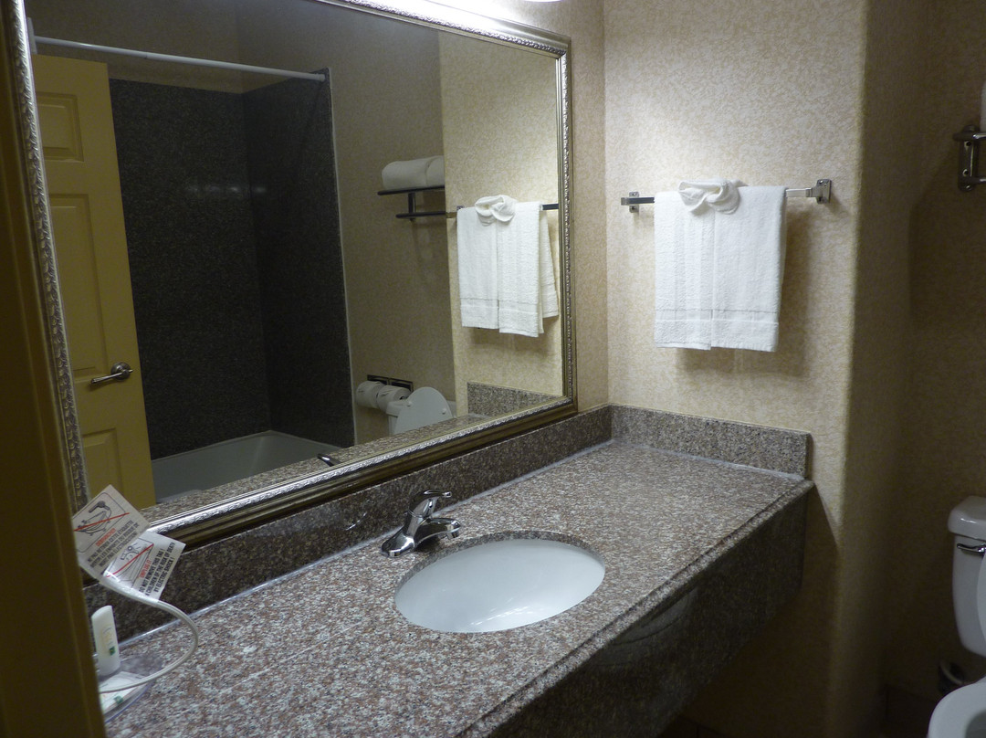 Quality Inn & Suites主图