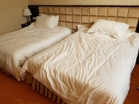 林芝印象酒店主图