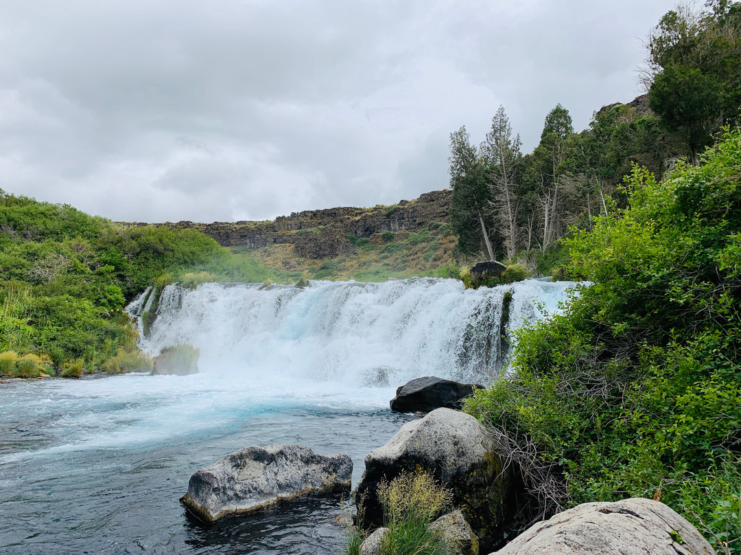Box Canyon Spring Nature Preserve