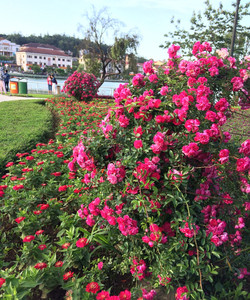 Quiet Sapa Hotel酒店图片