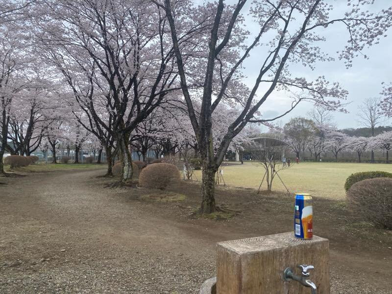 Nakagawa Riverside Park-那须盐原市必去景点