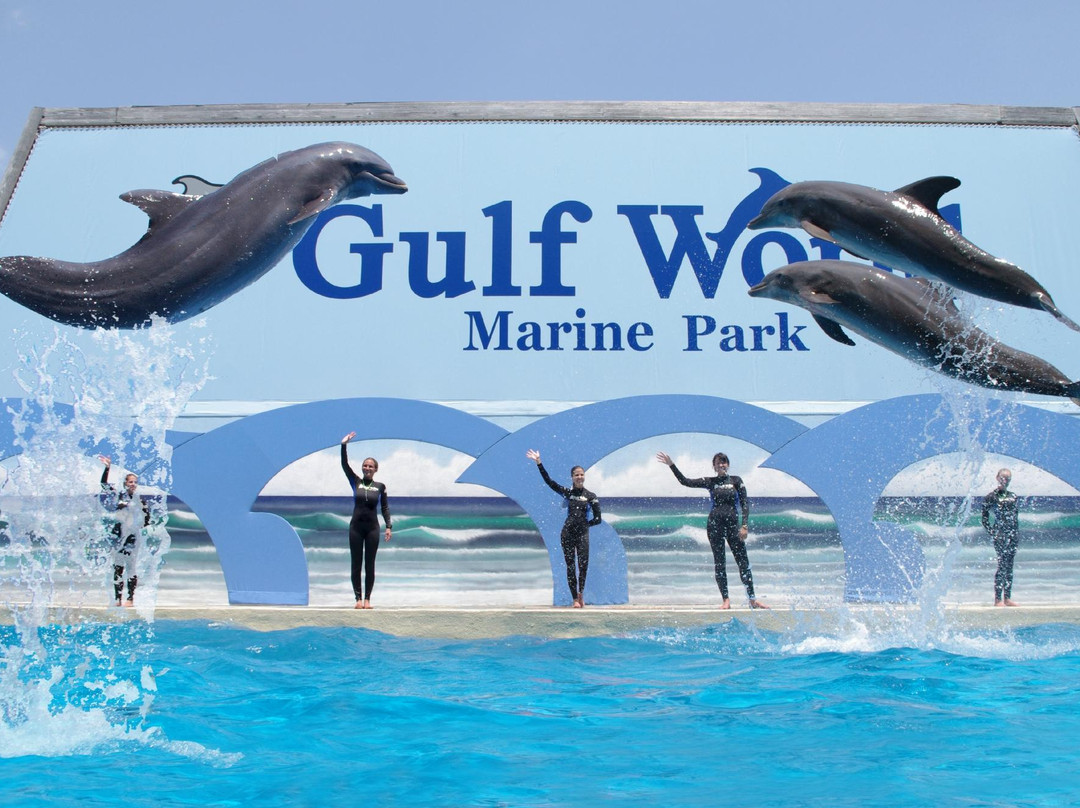 Gulf World Marine Park景点图片