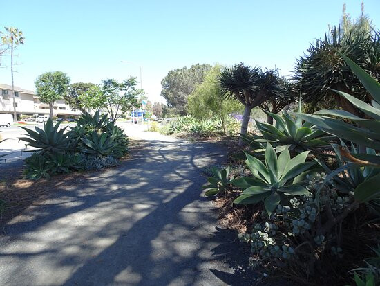 Solana Beach Coastal Rail Trail-索拉纳海滩必去景点
