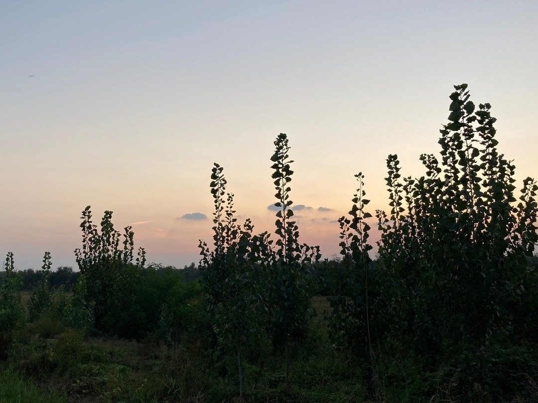 德州锦绣川风景区-德州市必去景点