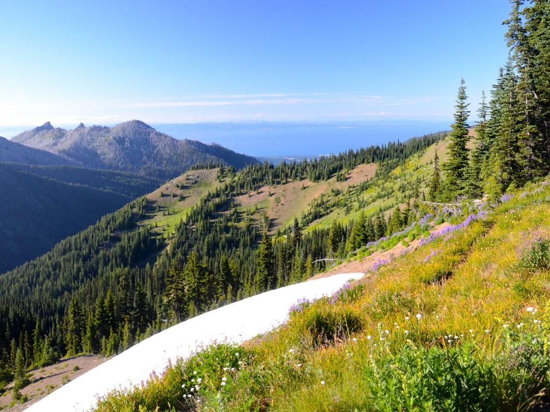 Hurricane Ridge Visitors Center-奥林匹克国家公园必去景点