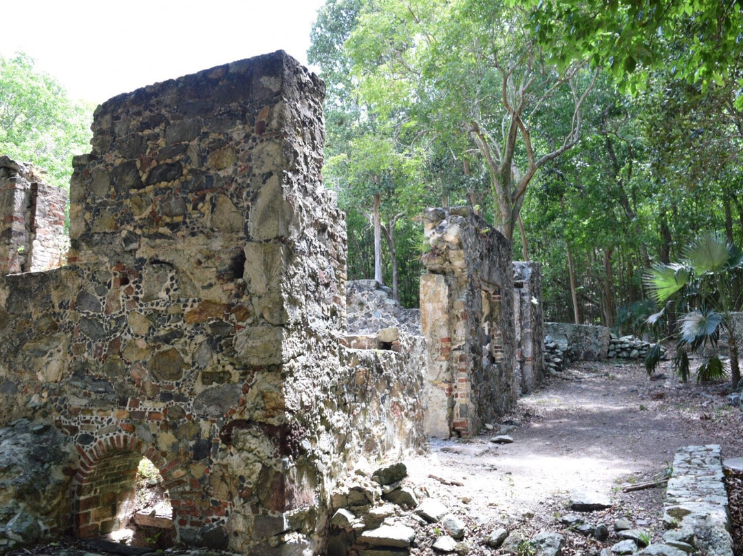 Cinnamon Bay Nature Trail