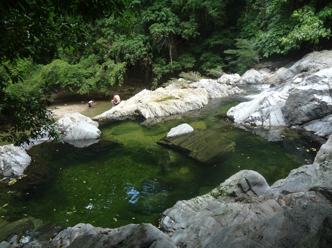 Valencia Brook's Waterfalls景点图片