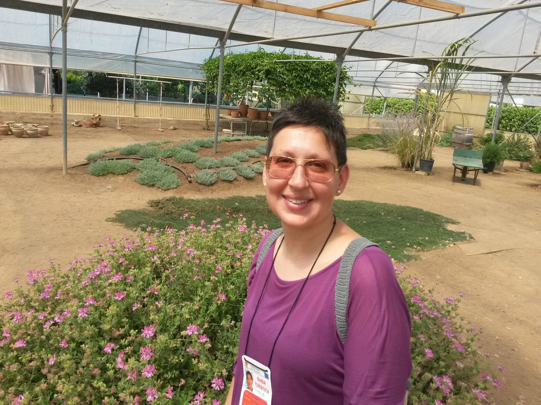 Barbara Sudano - Licensed Tour Guide