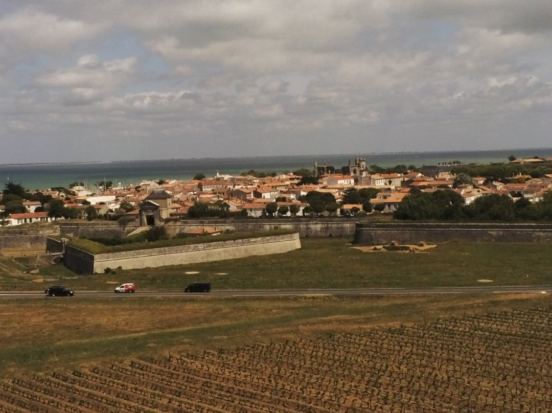 The fortifications of Saint-Martin-de-Ré景点图片