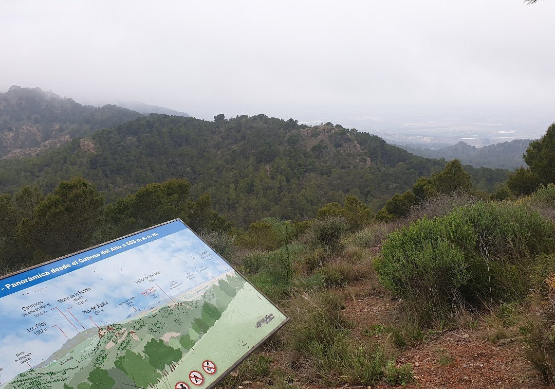 Cabezo del Alto-Sangonera La Verde必去景点