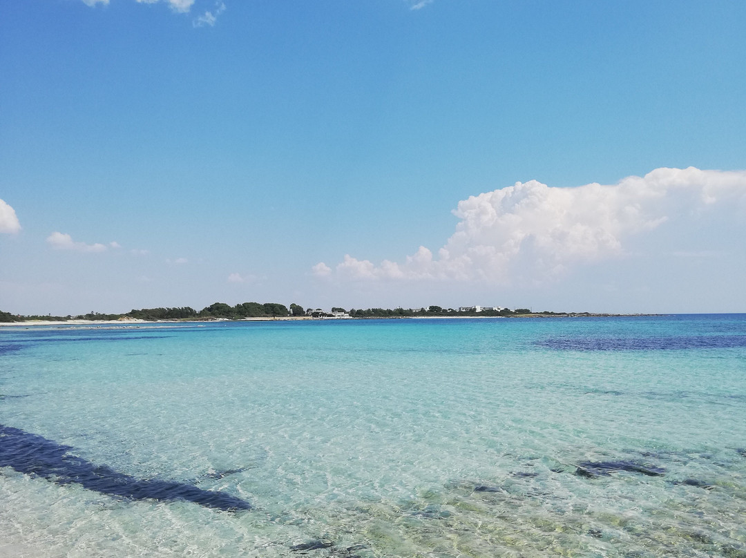 Spiaggia del Conte - Luxury Beach-Punta Prosciutto必去景点