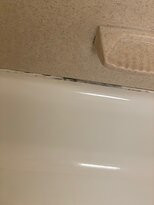 Comfort Suites Nacogdoches主图