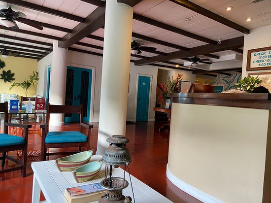 Hotel De Las Flores主图