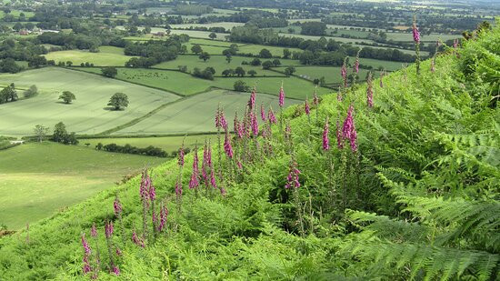 Caer Caradoc Hill-什鲁斯伯里必去景点