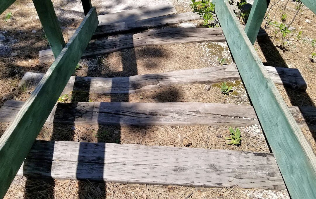 Petrified Forest of the Black Hills-Piedmont必去景点