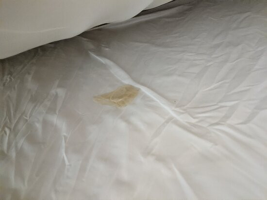 罗勒尔特公园晚安旅馆主图