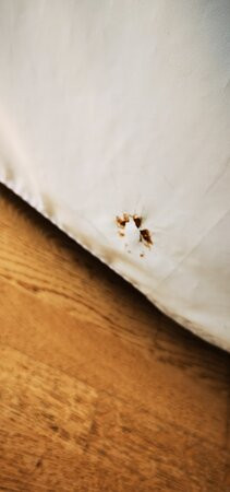 Meraki Beach Hotel主图