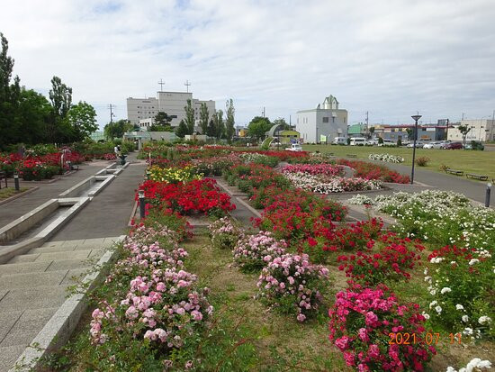 Michi-no-Eki Hot Haboro-羽幌町必去景点