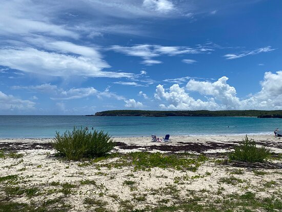 Playa Caracas-维切克岛必去景点