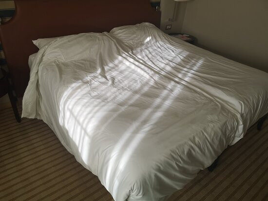 艾美拉弗斯布里特酒店主图