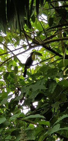 Finca Paraiso Organico景点图片