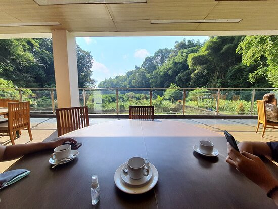 Zuri Resort Cipanas主图